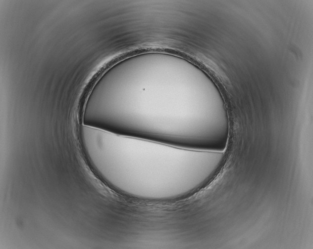 X0000110890934200906181003