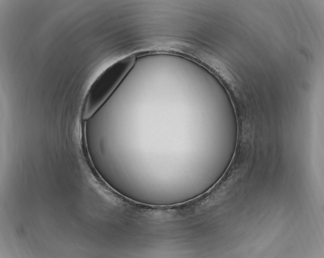 X0000110890936200906181003