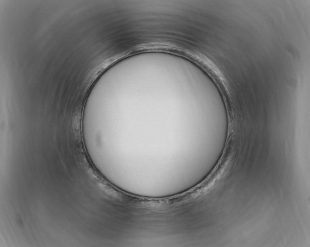 X0000110890937200906181003