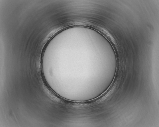 X0000110890938200906181003