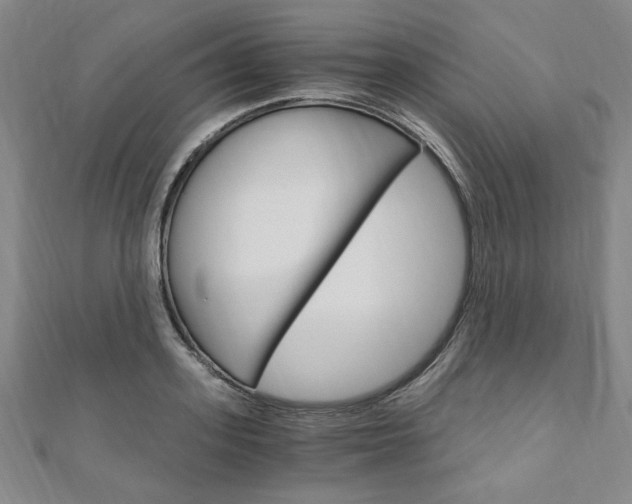 X0000110890939200906181003
