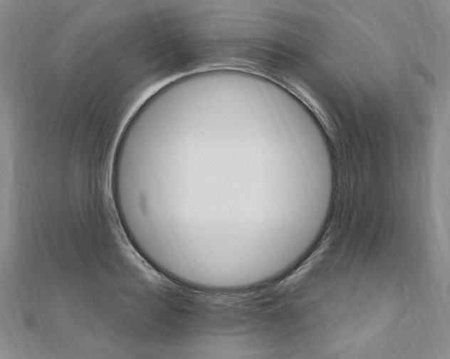 X0000110890940200906181003