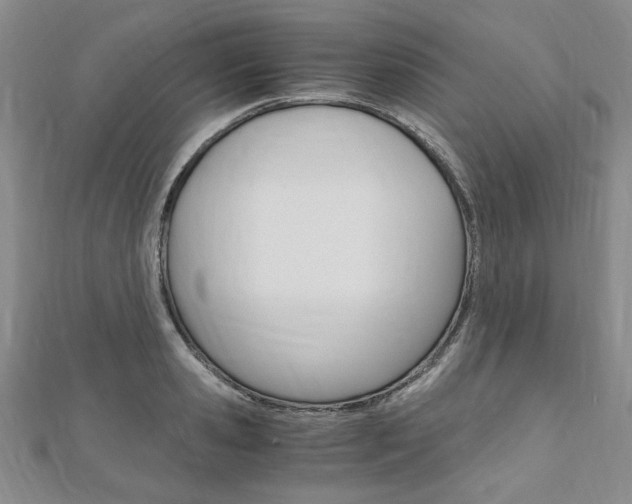 X0000110890941200906181003