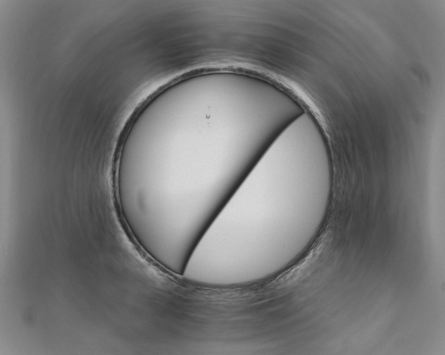 X0000110890943200906181003