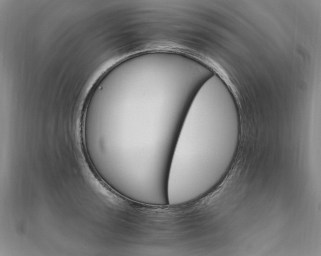 X0000110890947200906181003