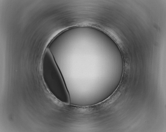 X0000110890948200906181003
