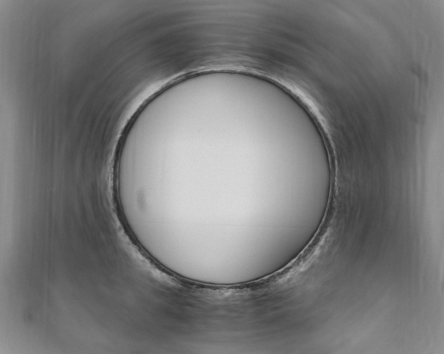 X0000110890949200906181003