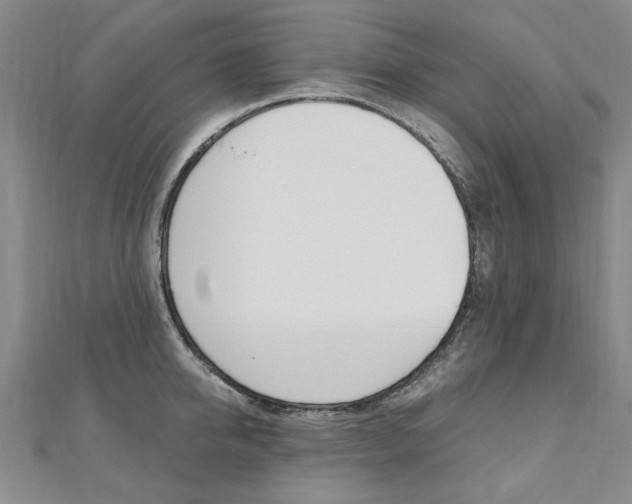 X0000110890950200906181003