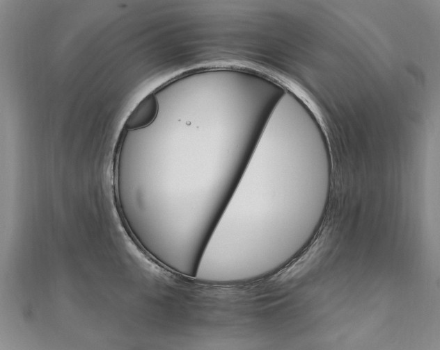 X0000110890951200906181003