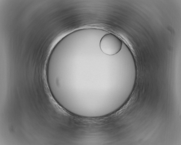 X0000110890952200906181003