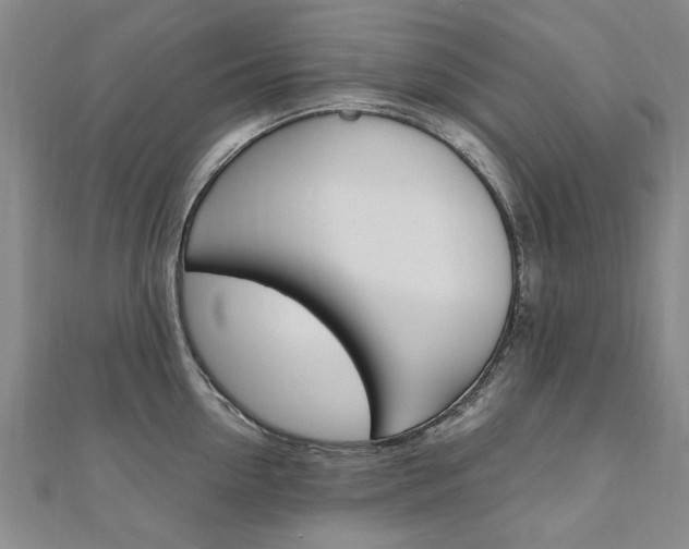 X0000110890954200906181003