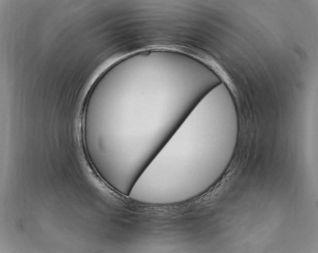 X0000110890955200906181003