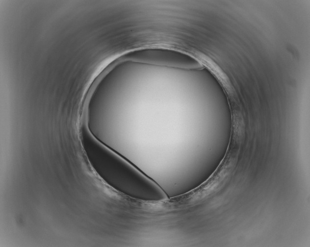 X0000110890956200906181003