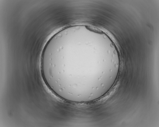 X0000110890957200906181003
