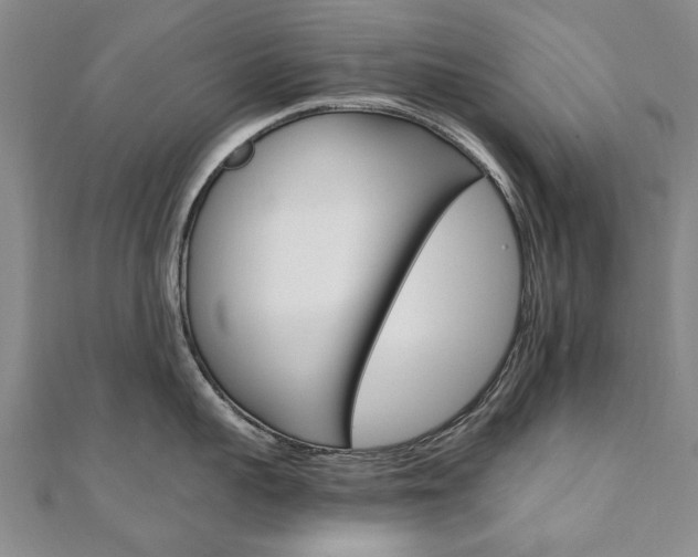 X0000110890959200906181003