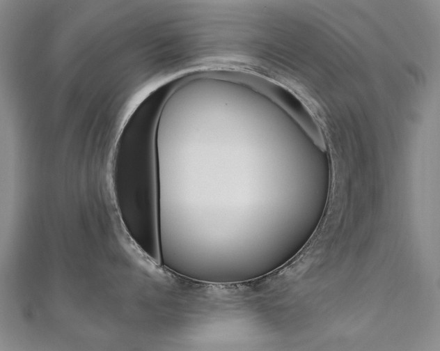 X0000110890960200906181003