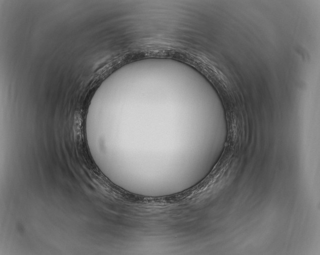 X0000110890964200906181002
