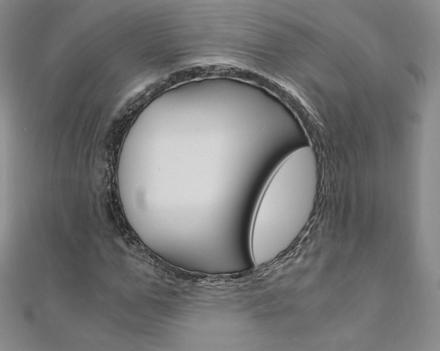 X0000110890967200906181002