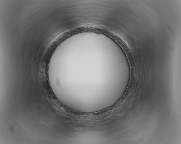 X0000110890968200906181002