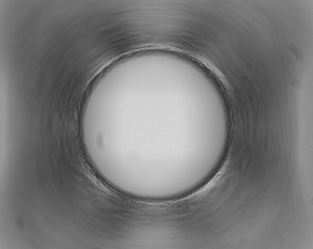 X0000110890969200906181002