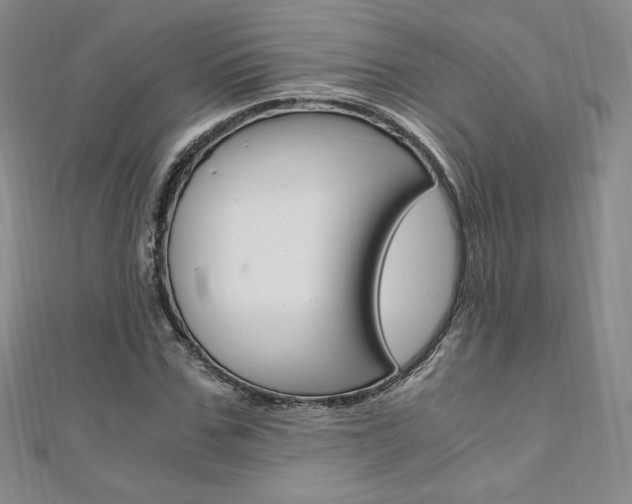 X0000110890971200906181002