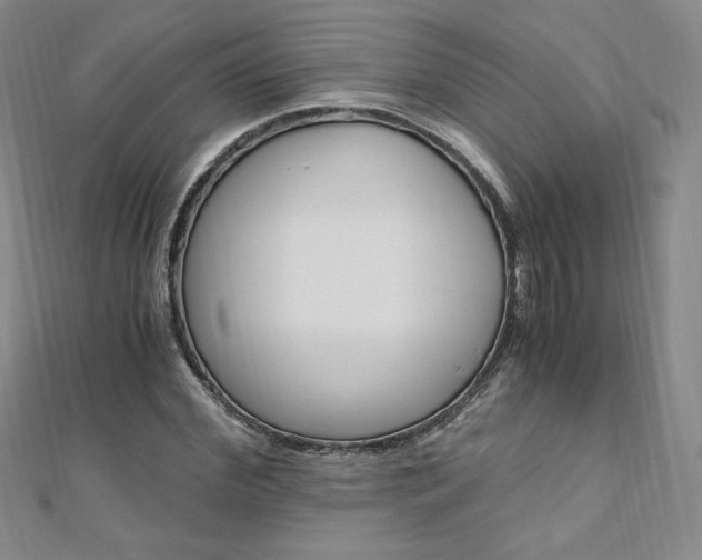X0000110890972200906181002