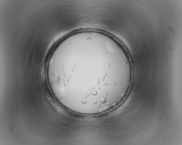 X0000110890974200906181002