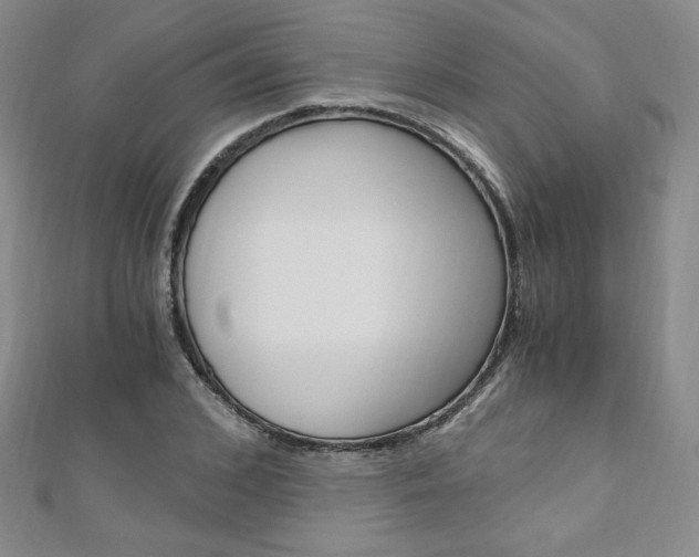 X0000110890976200906181002