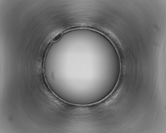 X0000110890977200906181002