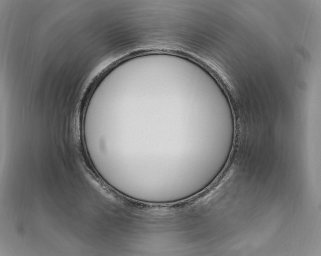 X0000110890982200906181002