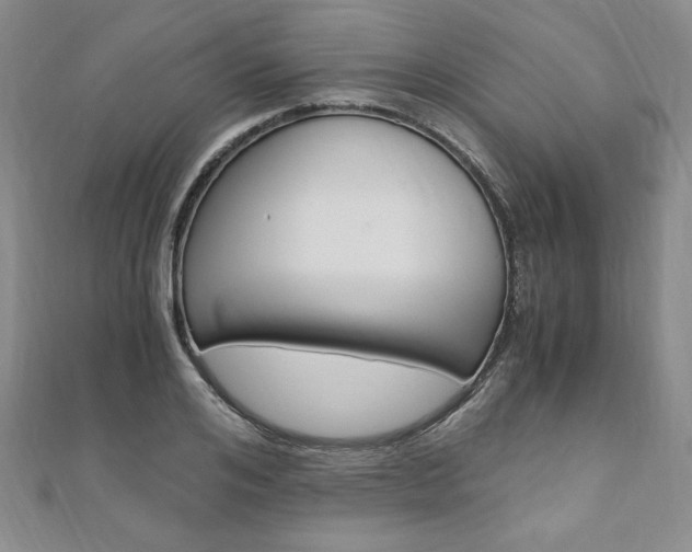 X0000110890984200906181002
