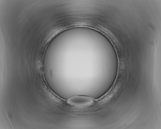 X0000110890985200906181002