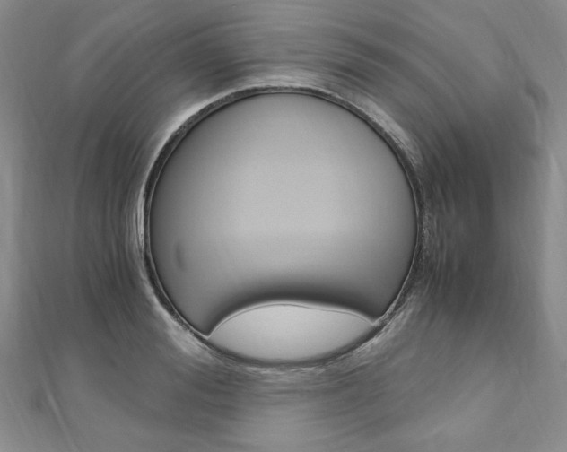 X0000110890988200906181002