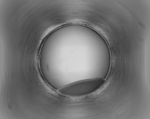 X0000110890989200906181002