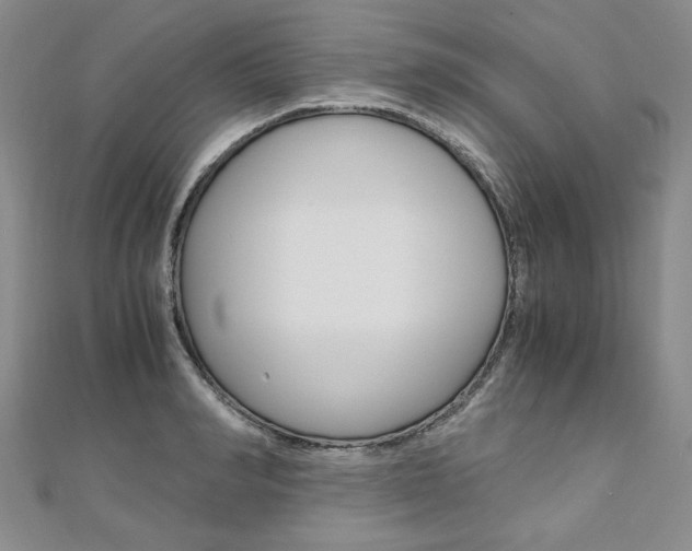 X0000110890990200906181002