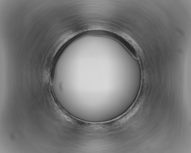 X0000110890993200906181002