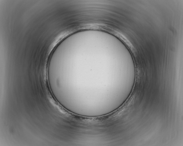 X0000110890994200906181002