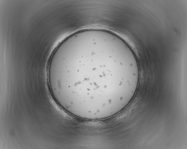 X0000110890998200906181002