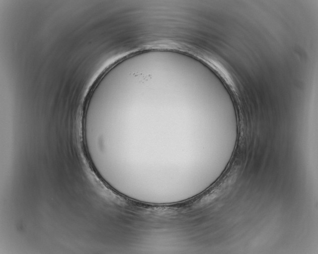 X0000110891000200906181002