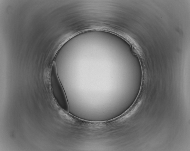 X0000110891001200906181002