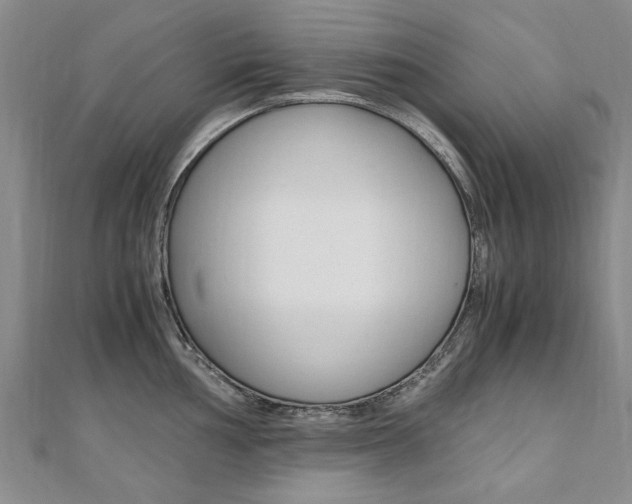 X0000110891002200906181002