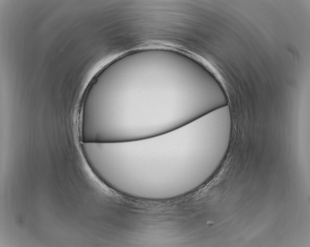 X0000110891003200906181002