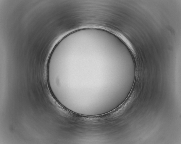 X0000110891004200906181002
