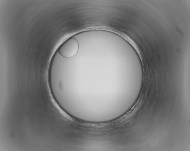 X0000110891005200906181002