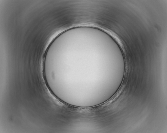 X0000110891006200906181002