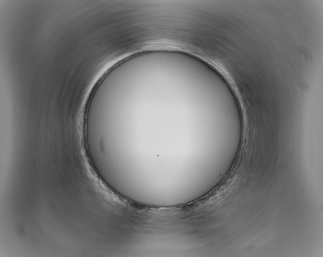 X0000110891008200906181002