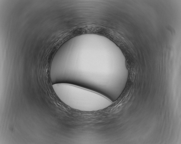 X0000110891010200906181001