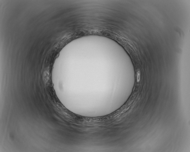 X0000110891011200906181001