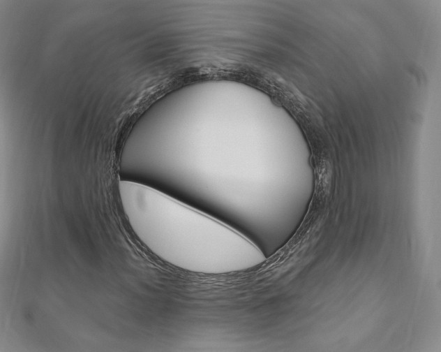 X0000110891012200906181001