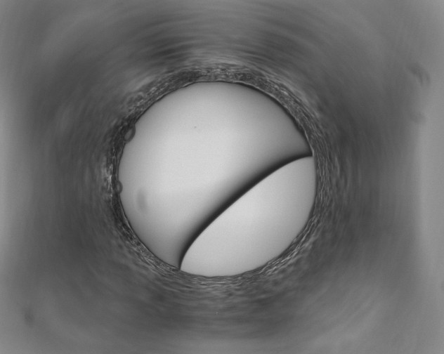 X0000110891013200906181001